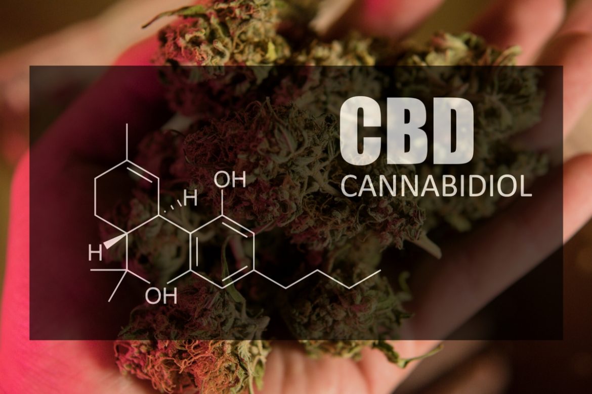 A Beginner's Guide To CBD: What It Is, How To Use It